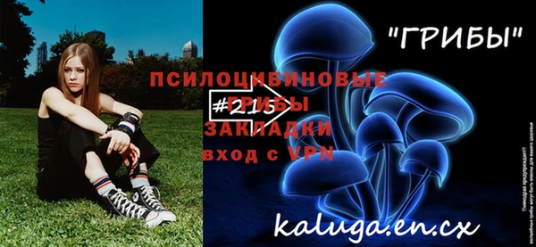стаф Балахна