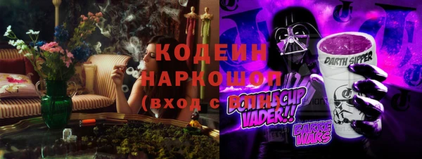 эйфоретик Баксан