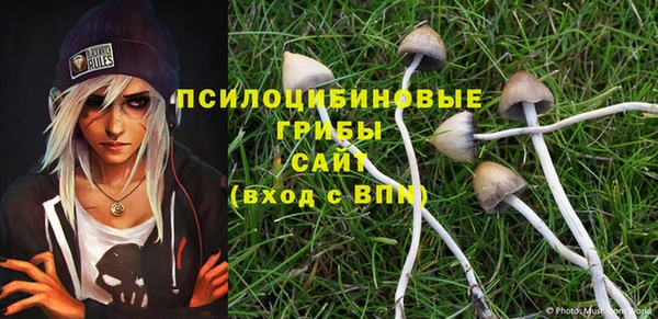 молекула духа Белоозёрский