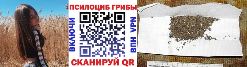 Псилоцибиновые грибы мухоморы Калининец